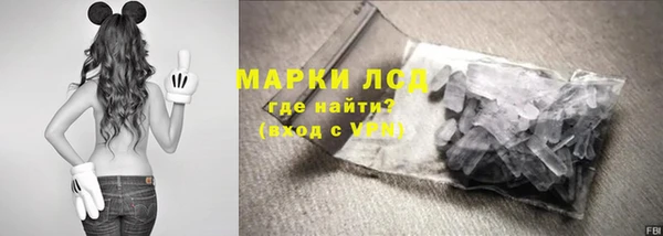 гидра Козловка