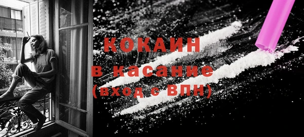 дживик Верея