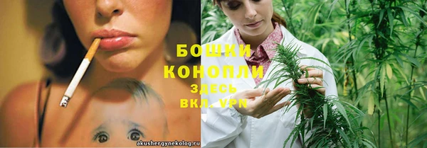 дживик Верея