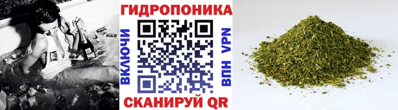 цена   Выкса  Конопля семена 